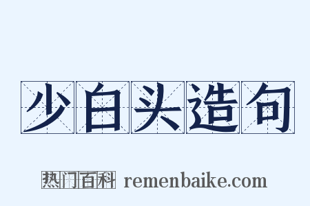 少白头造句是什么意思的图片